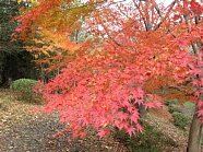 岩倉峡公園