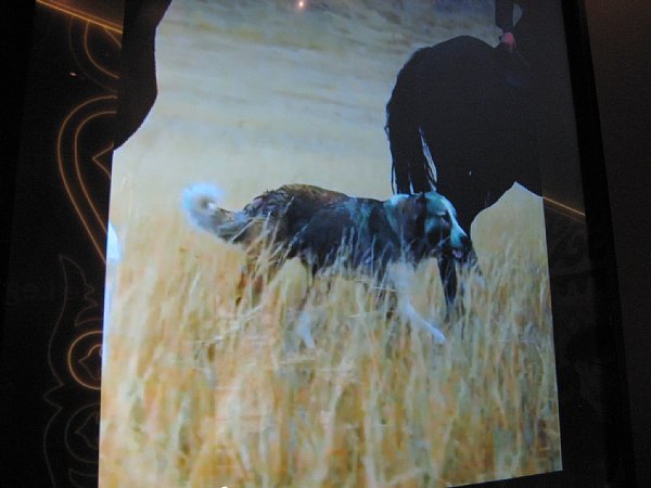 コモンズ-F内部