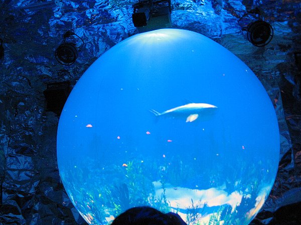 クウェート館内部