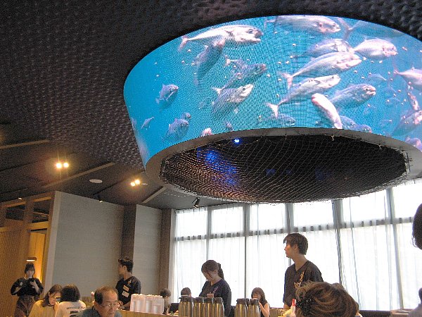 近畿大学水産研究所