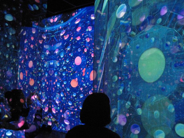 いのちめぐる冒険館内部