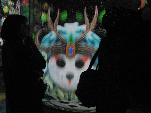 いのちめぐる冒険館内部