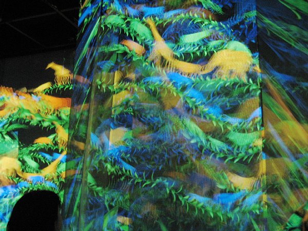 いのちめぐる冒険館内部