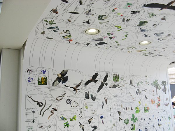 いのちめぐる冒険館内部