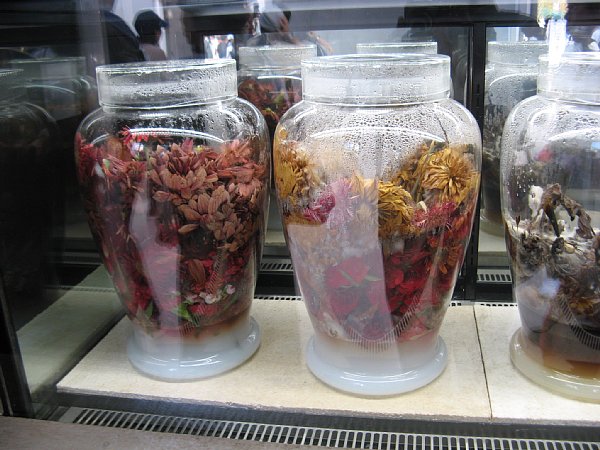 いのちめぐる冒険館内部