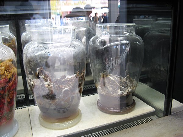 いのちめぐる冒険館内部