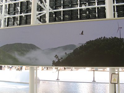 韓国館内部