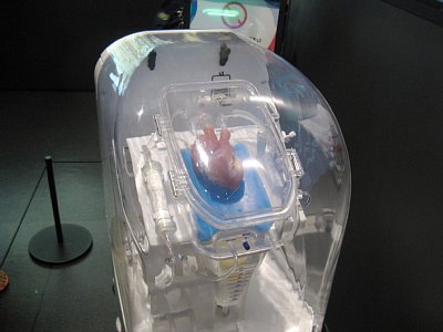 コモンズ-F内部